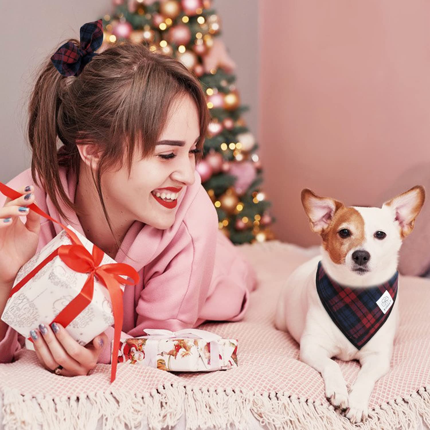 Bandana para perro de talla pequeña, ideal para razas pequeñas.