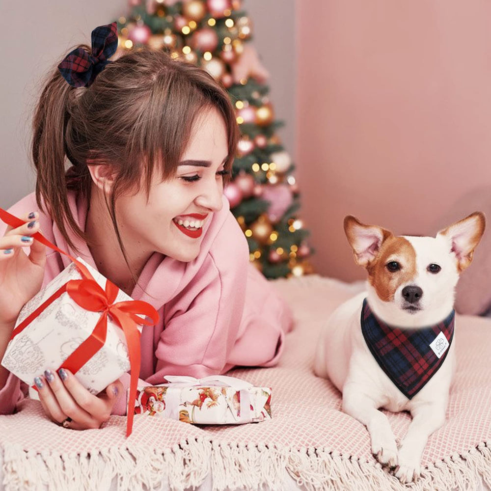 Bandana para perro de talla pequeña, ideal para razas pequeñas.