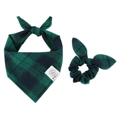 E-Clover bandana San Patricio para perro en verde, ideal para fotos.