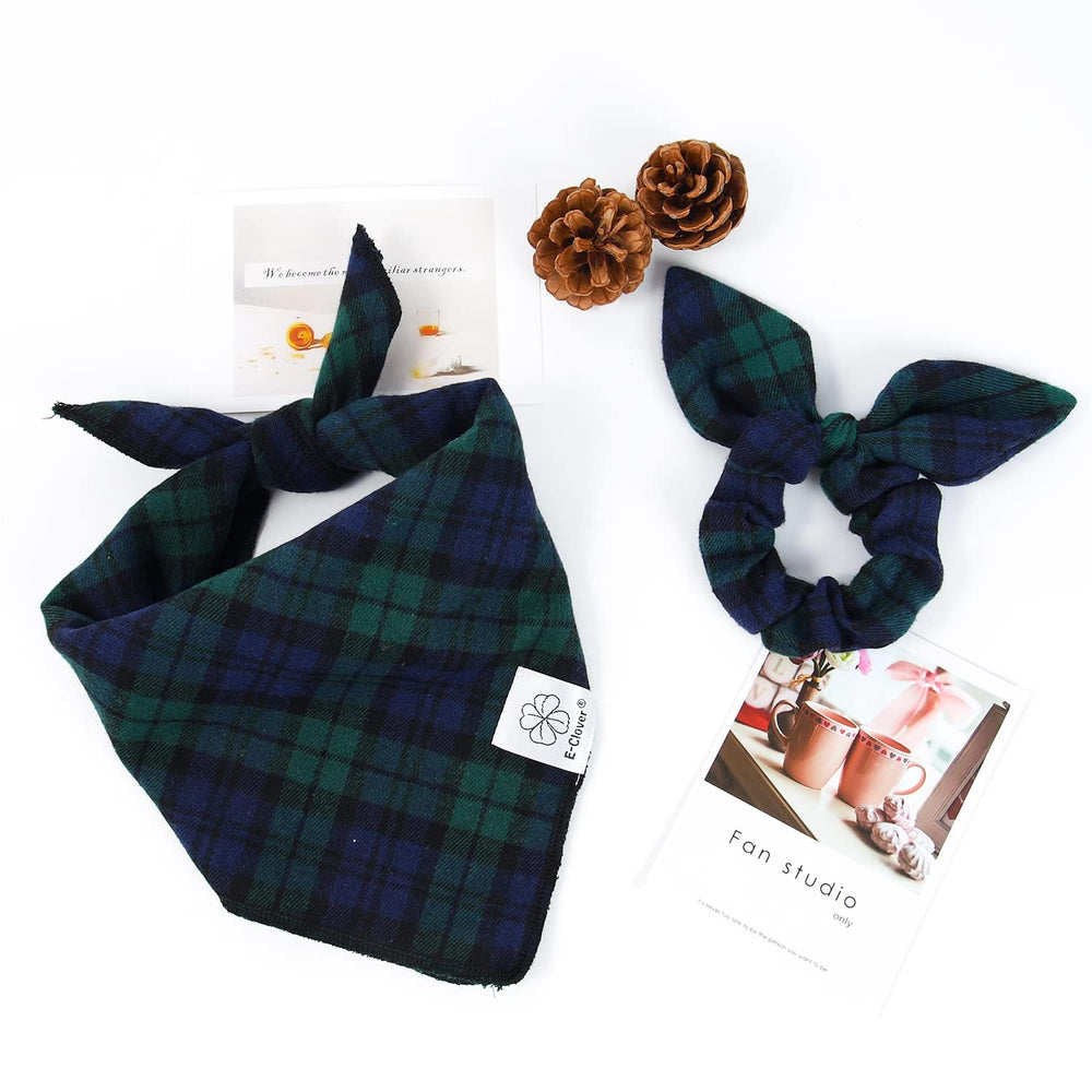 Empaque elegante de E-Clover para presentar el conjunto.