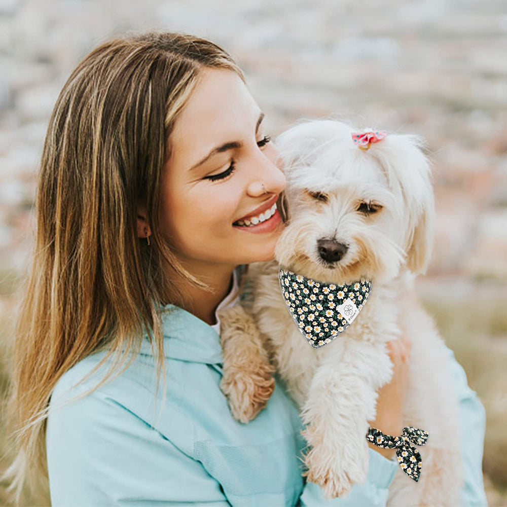Paquete regalo de bandana para perro E-Clover, regalo ideal para dueños