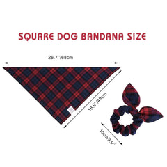 Perro con conjunto de bandana y lazo en cuadros, look coordinado para fotos.
