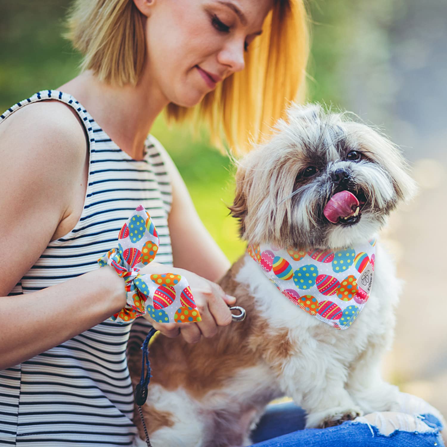 Perro jugando con la bandana E-Clover durante actividades.