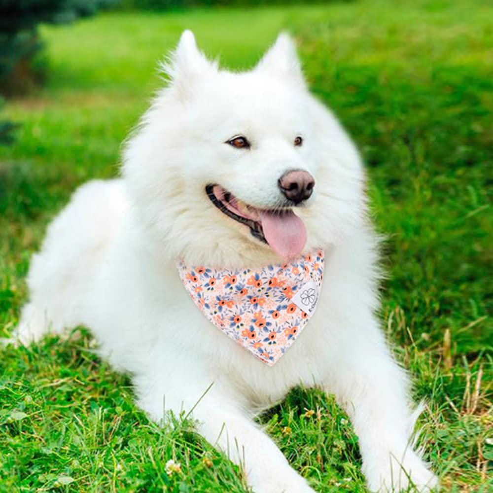 Regalo perfecto de E-Clover: bandana floral para perros