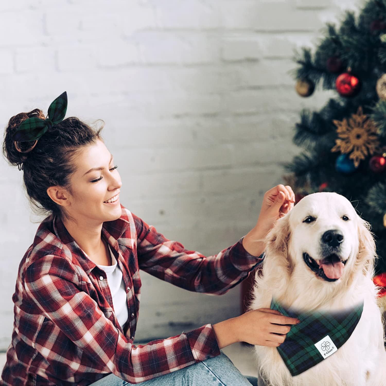 Regalo ideal para dueños de perros con E-Clover.