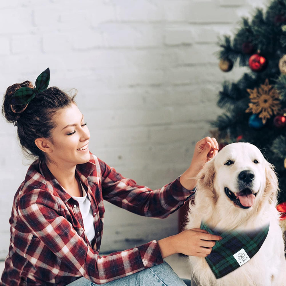 Regalo ideal para dueños de perros con E-Clover.
