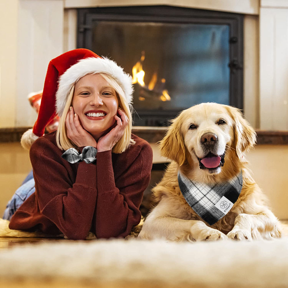 Regalo ideal E-Clover para dueños de perros medianos y grandes.