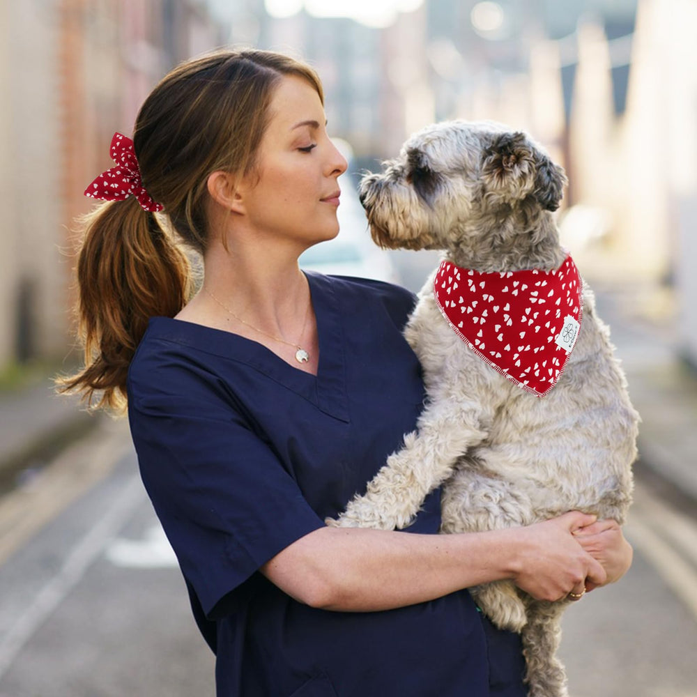 Scrunchie coordinado E-Clover para perro y dueño; perfecto para fotos.
