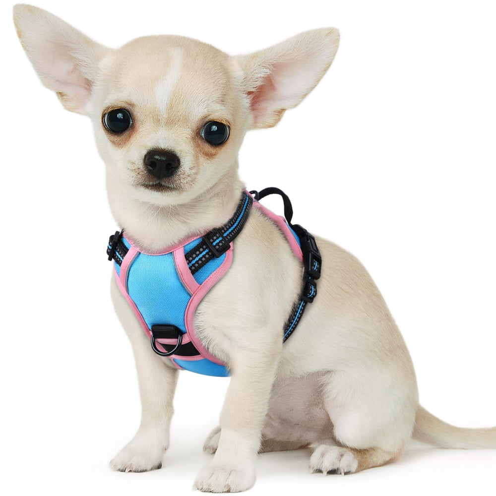 Arnés Eagloo para perro pequeño sin tirones, vista frontal