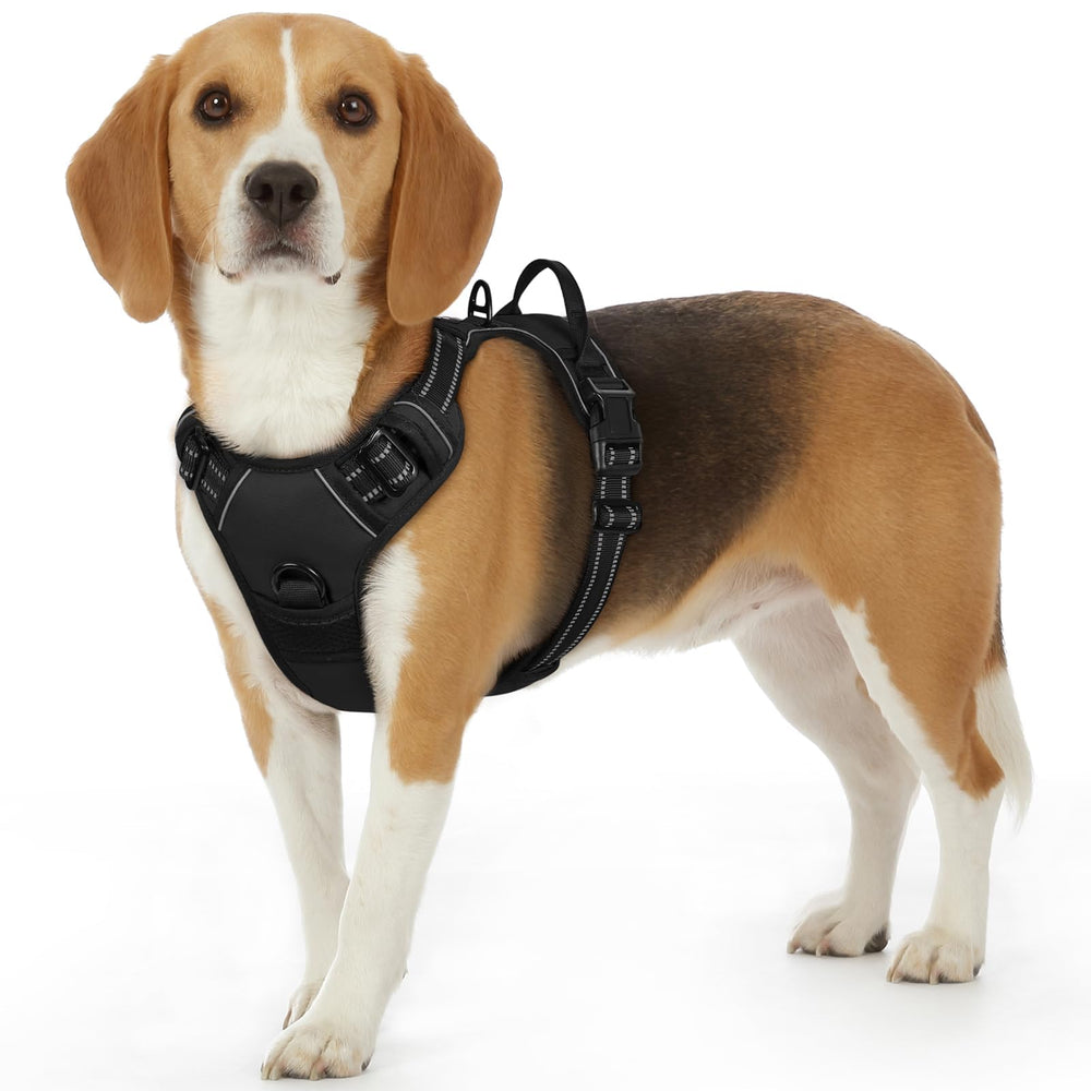Arnés Eagloo Harness frente: ajuste rápido y cómodo