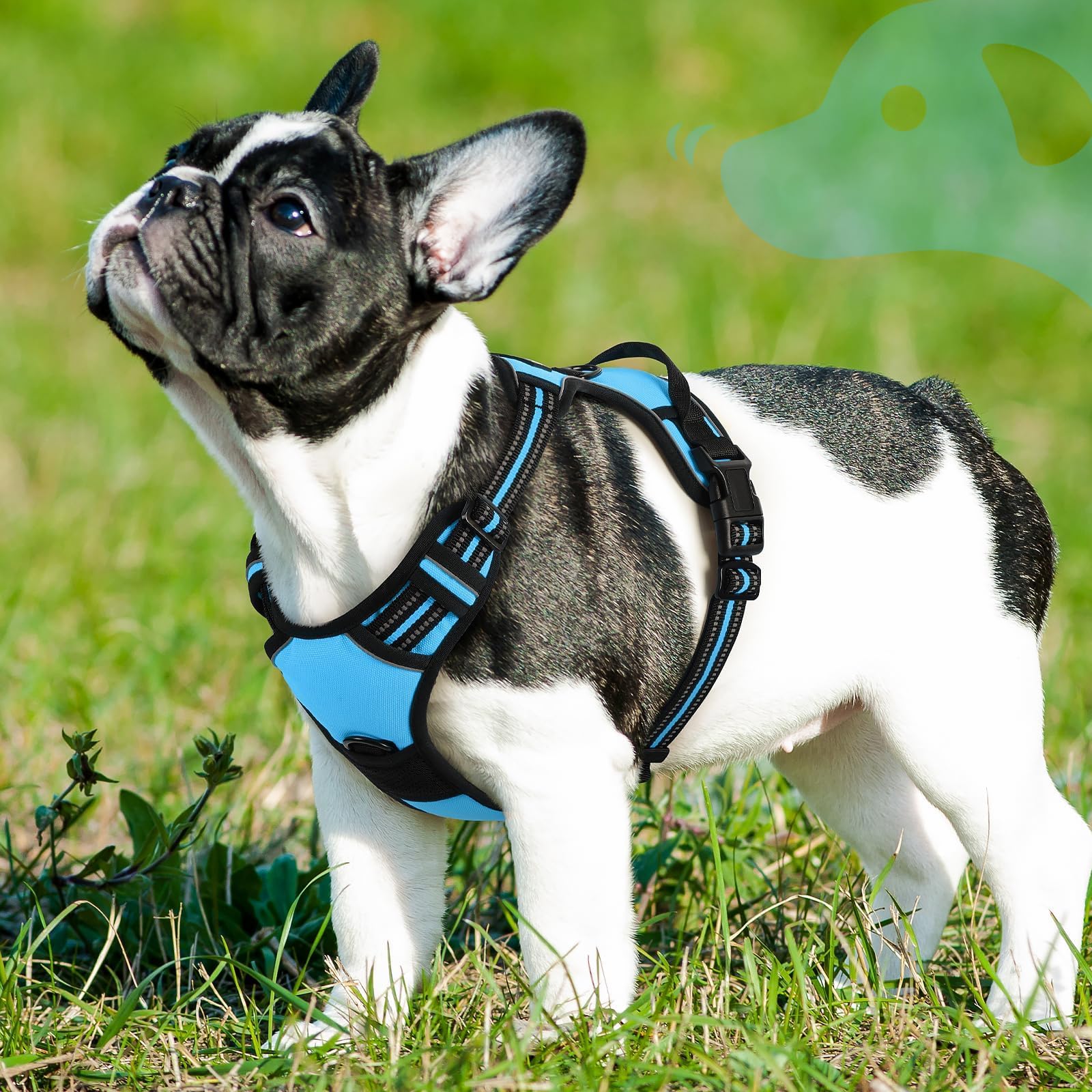 Arnés Eagloo tela suave para perros pequeños.