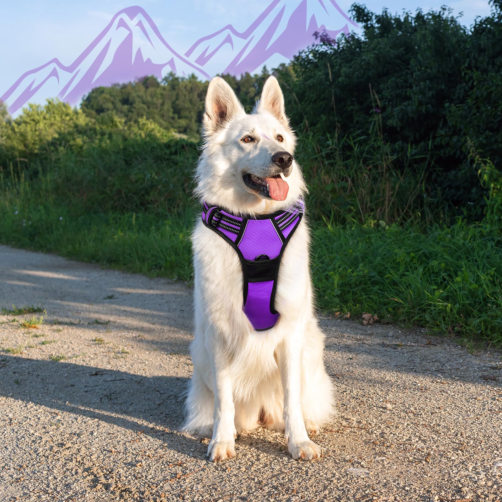 Arnés Eagloo para perros grandes con ajuste amplio para talla XL.