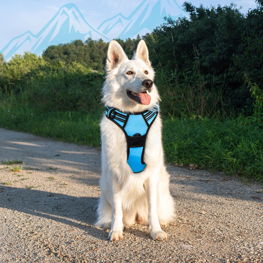 Arnés Eagloo color azul cielo talla XL para perros grandes