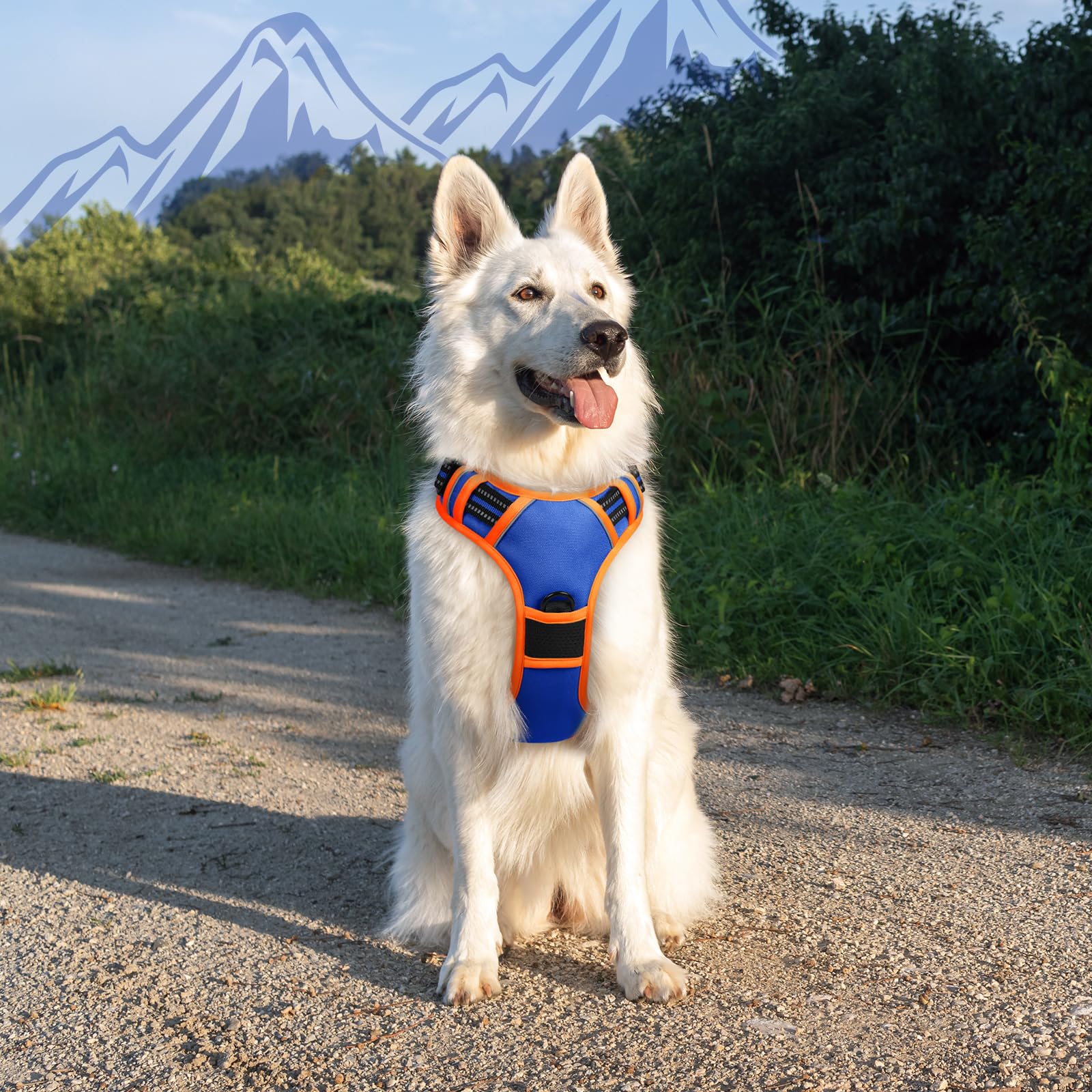 Arnés Eagloo en azul y naranja talla XL, fácil de ajustar.