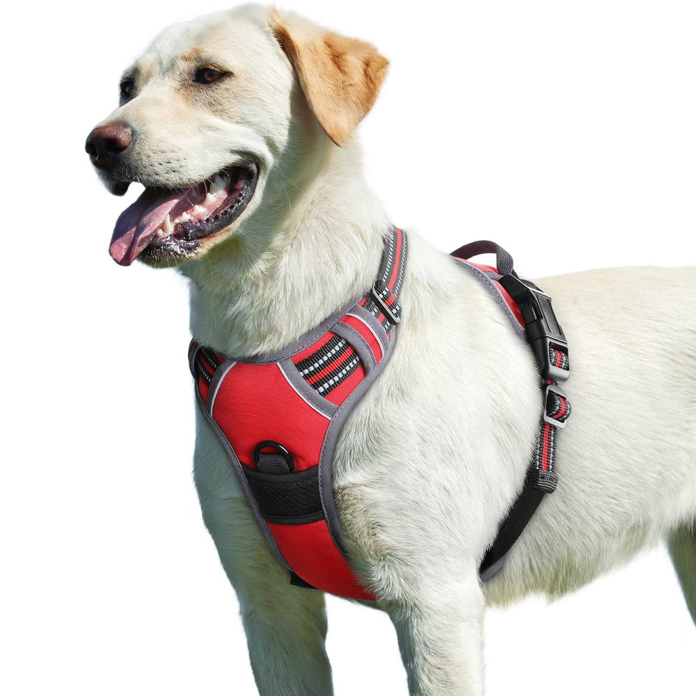 Arnés Eagloo para perros grandes, trasero con asa, para mayor control durante caminatas.