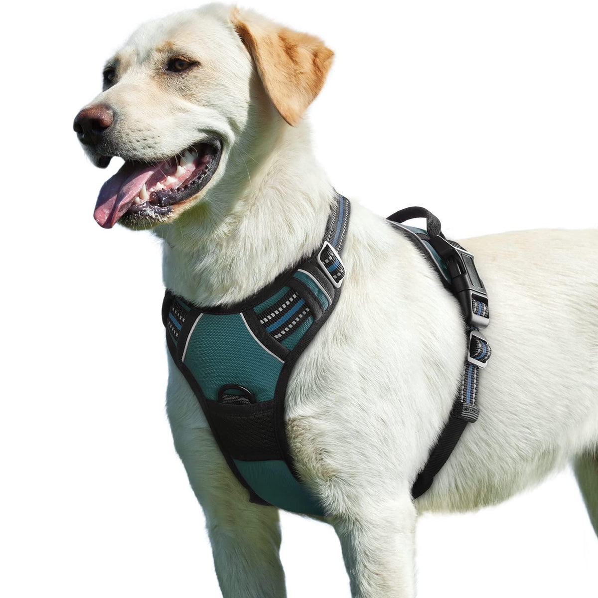 Arnés Eagloo para perros grandes, uso fácil y rápido para paseos.