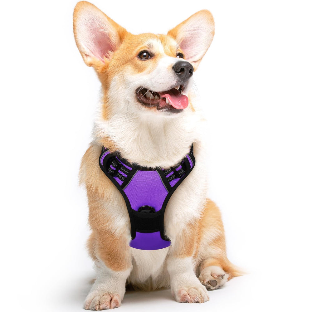 Arnés Eagloo para perro mediano con dos anillos para mayor control.