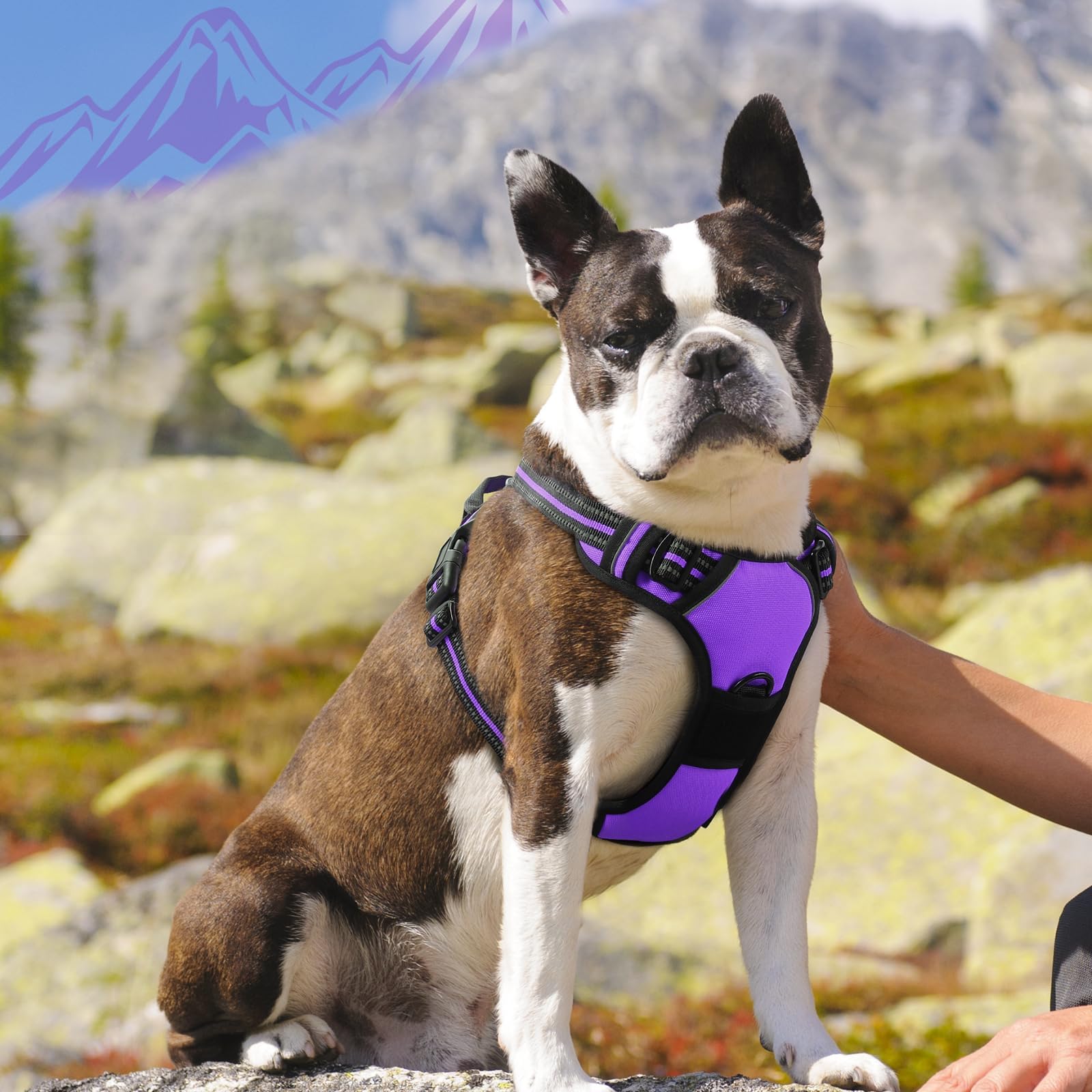 Arnés Eagloo con talla media y ajuste cómodo.