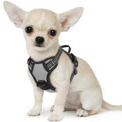 Arnés Eagloo para perro pequeño con frente y hebillas rápidas para colocar fácil