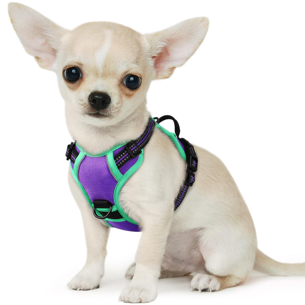 Arnés Eagloo para perro pequeño con hebillas rápidas dobles para ponérselo fácilmente