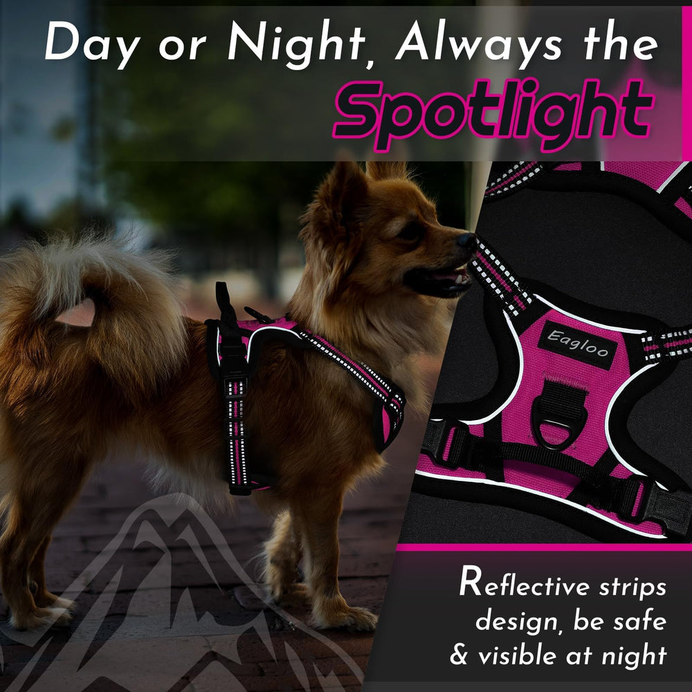 Arnés Eagloo compacto ideal para chihuahuas y terriers