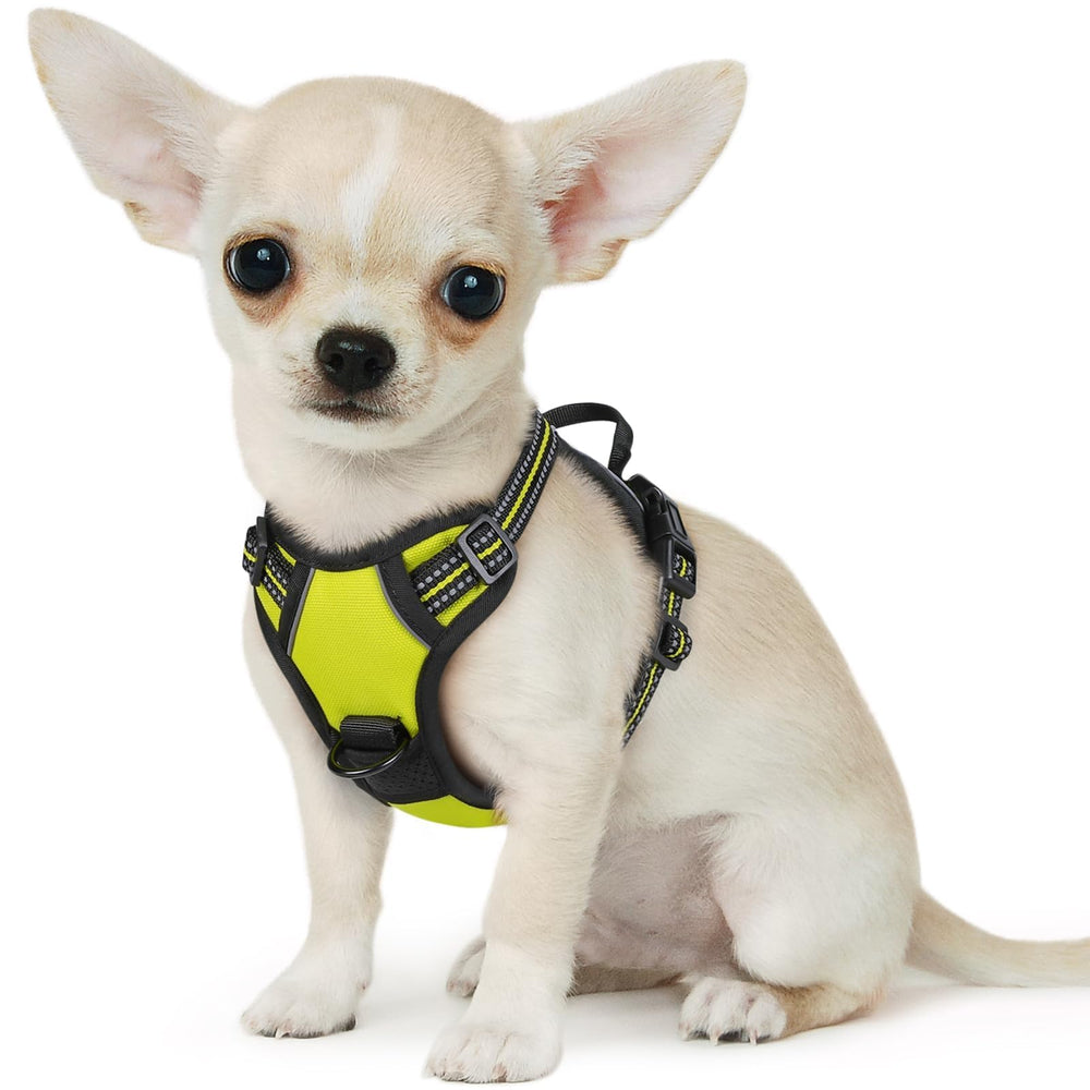 Arnés Eagloo para perro pequeño sin tirones con asa de control para paseos seguros.