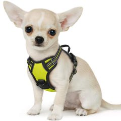 Arnés Eagloo para perro pequeño sin tirones con asa de control para paseos seguros.