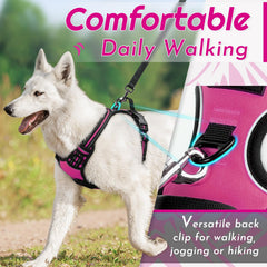 Arnés Eagloo reflectante para paseos nocturnos y mayor visibilidad.