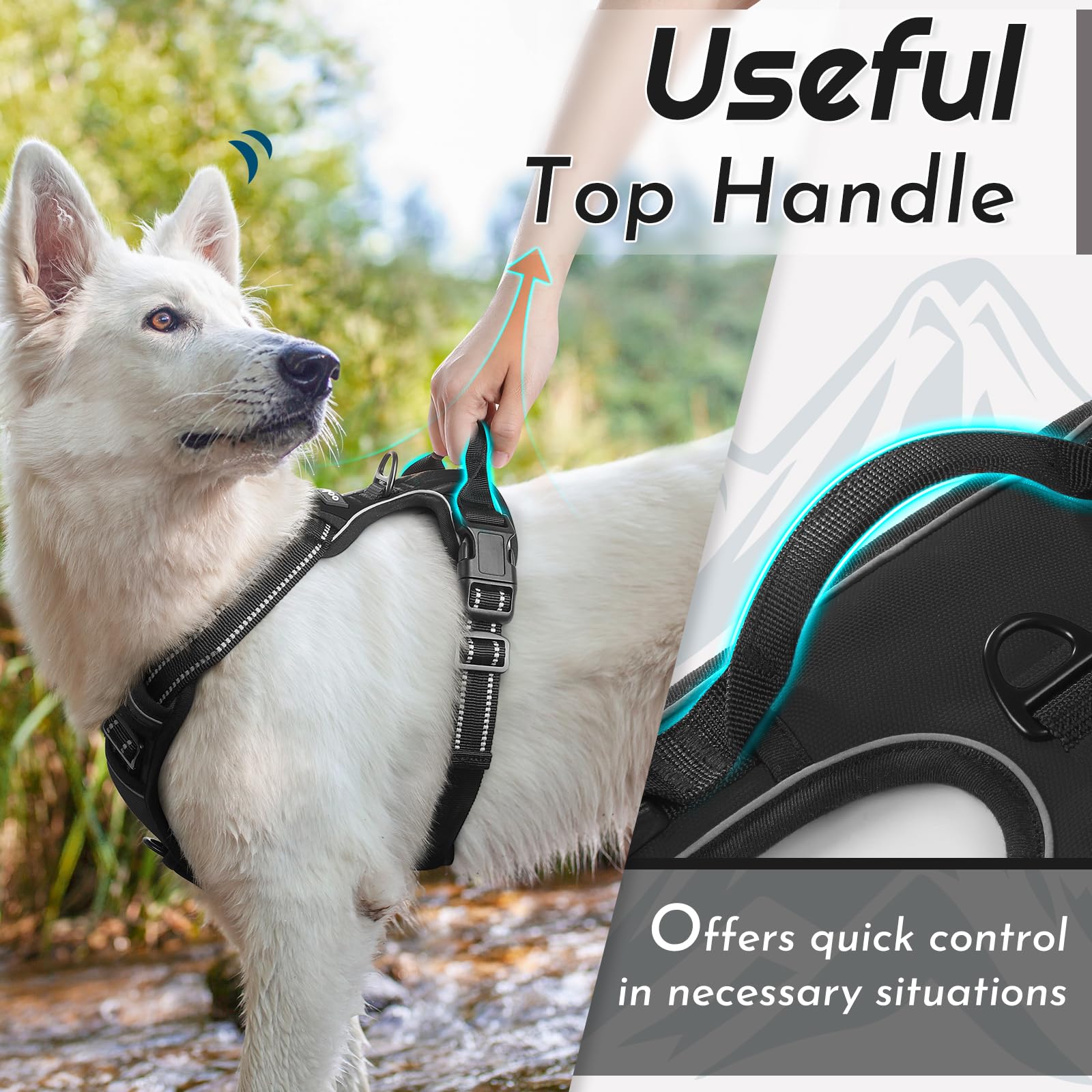 Arnés Eagloo Harness reflectivo: mayor visibilidad nocturna