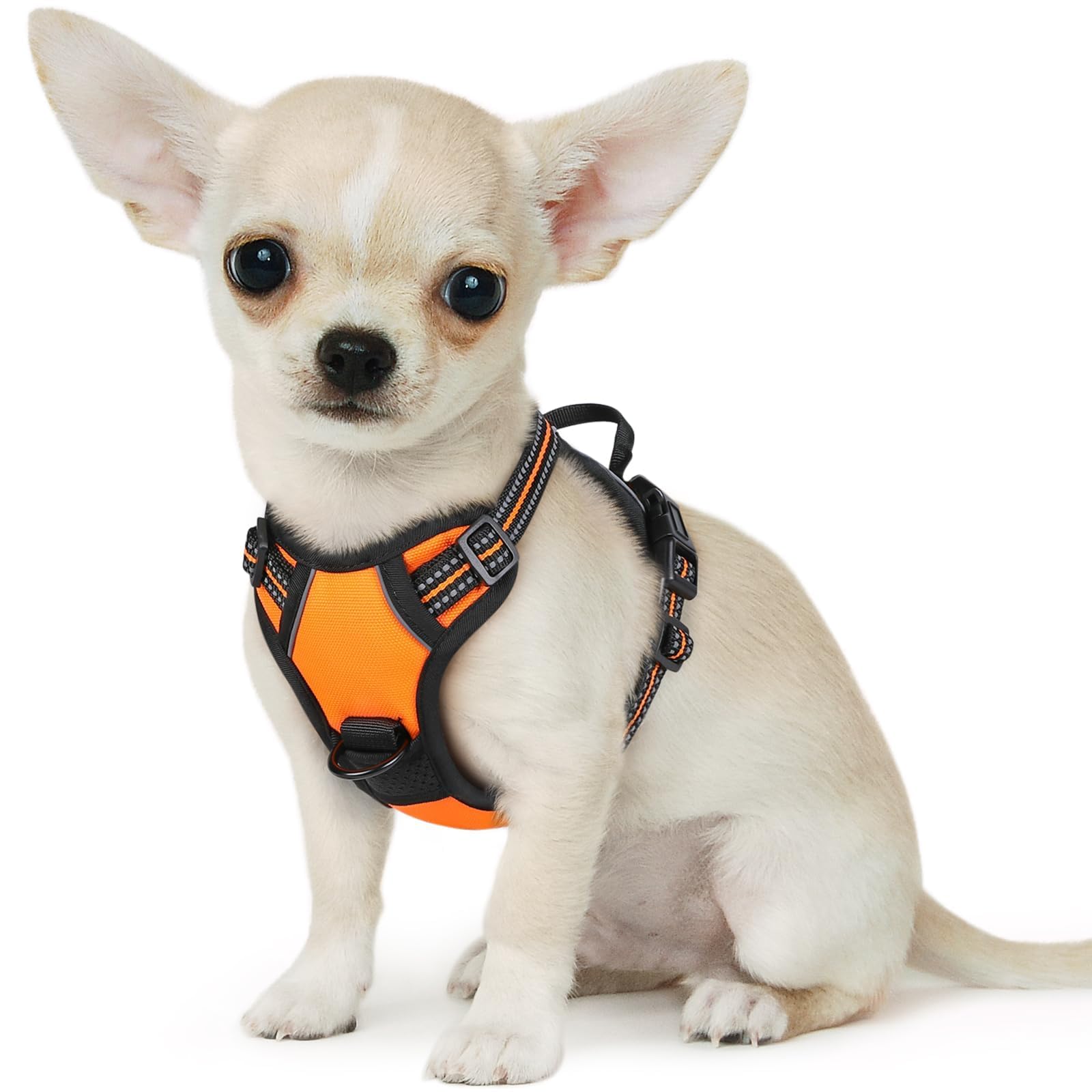 Eagloo chaleco perro pequeño sin tirón para paseos seguros y cómodos.
