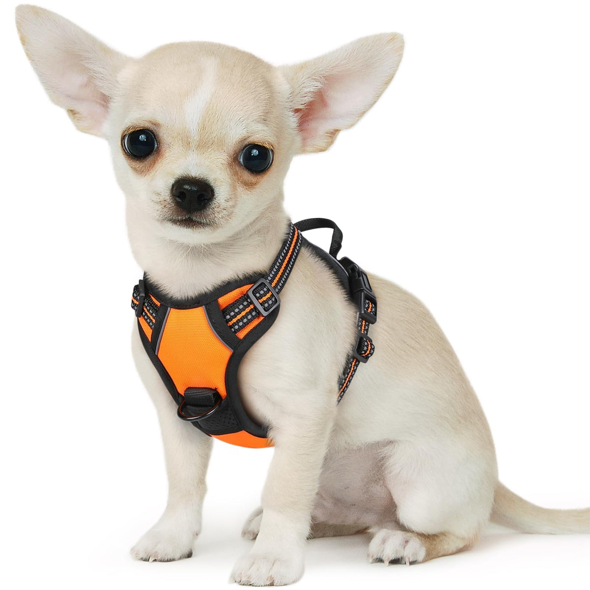 Eagloo chaleco perro pequeño sin tirón para paseos seguros y cómodos.