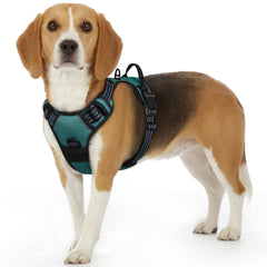 Arnés Eagloo para perro pequeño con ajuste en cuello y pecho