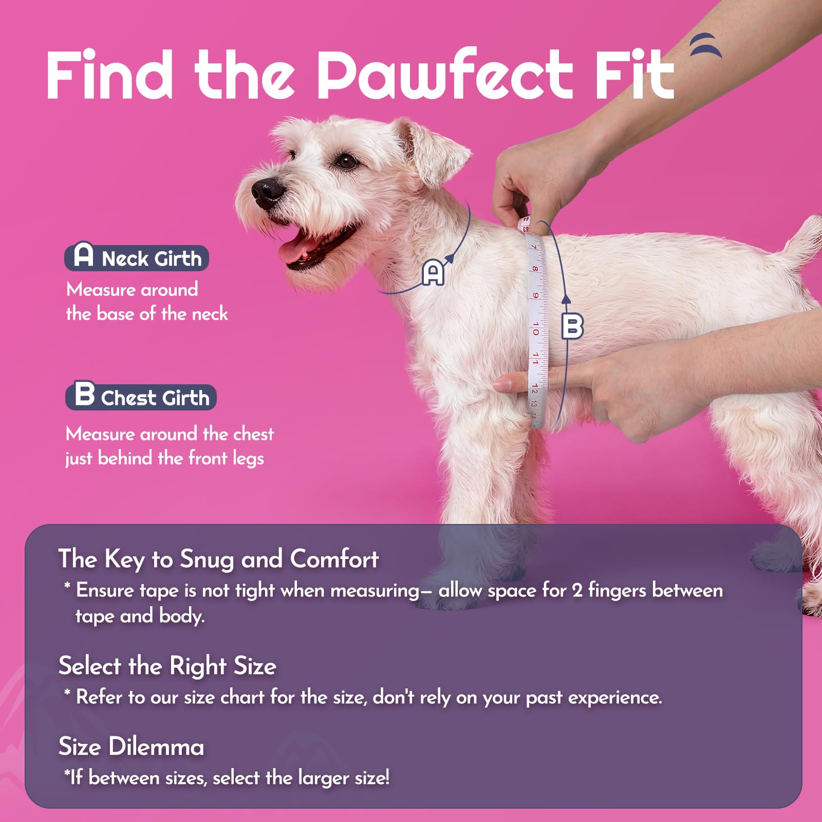 Correa Eagloo de 1,5 m para perro pequeño, rosa.