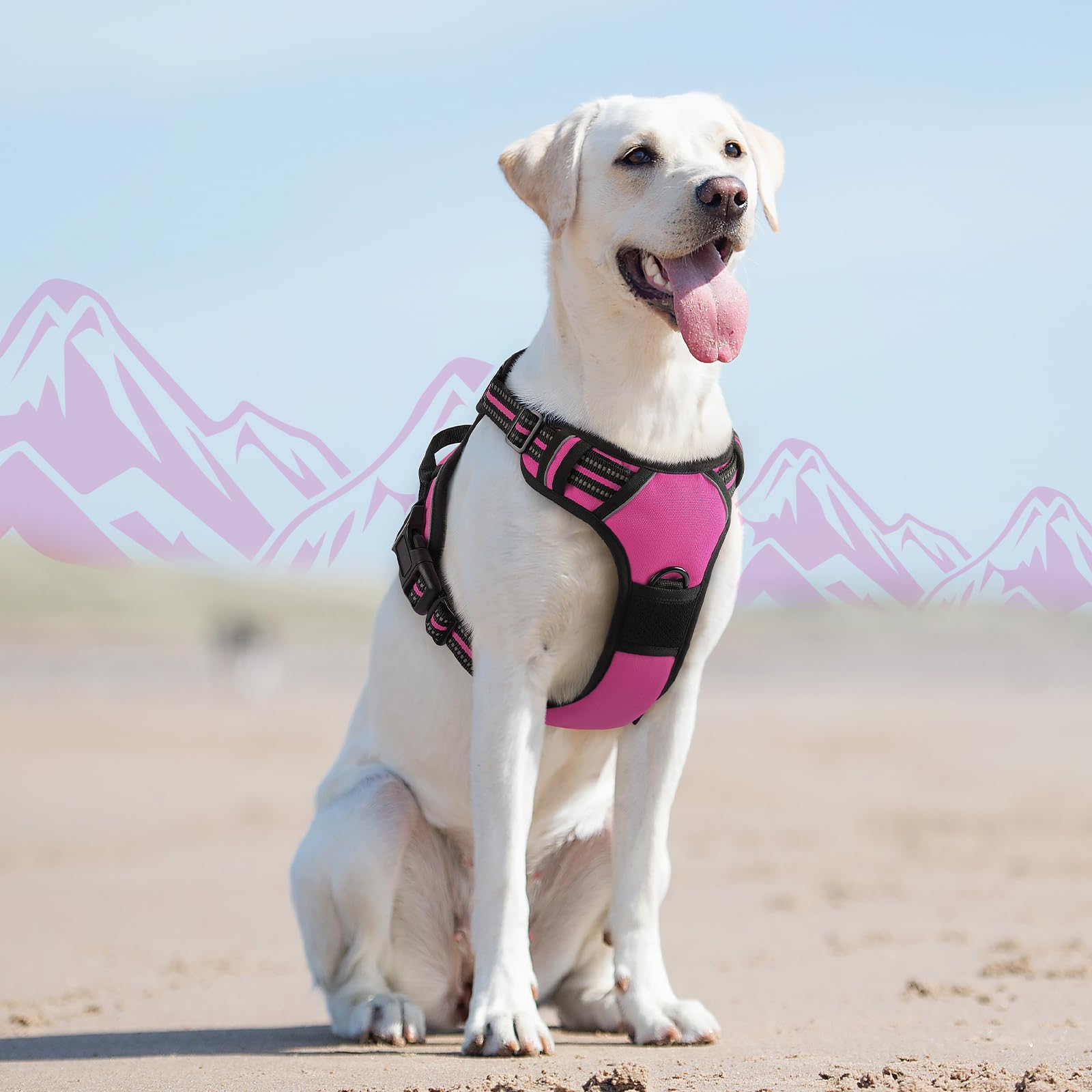 Arnés de nylon resistente de Eagloo, ideal para perros activos.