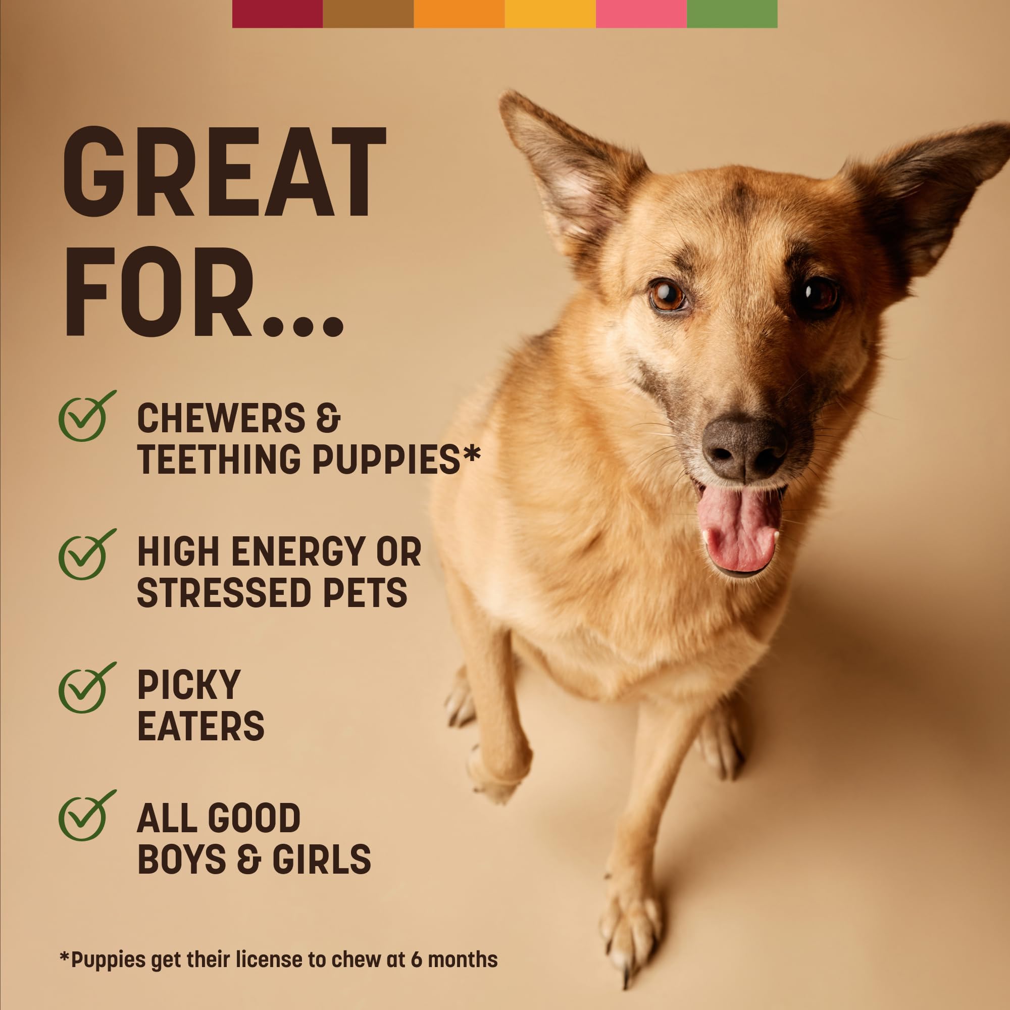 Earth Animal masticables sin piel para perros que buscan entretenimiento durante la masticación.