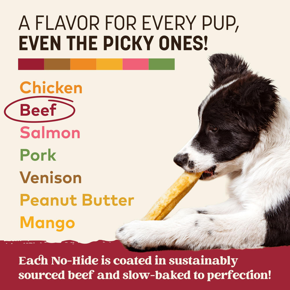 Earth Animal No Hide Chews perro contento disfrutando la masticación