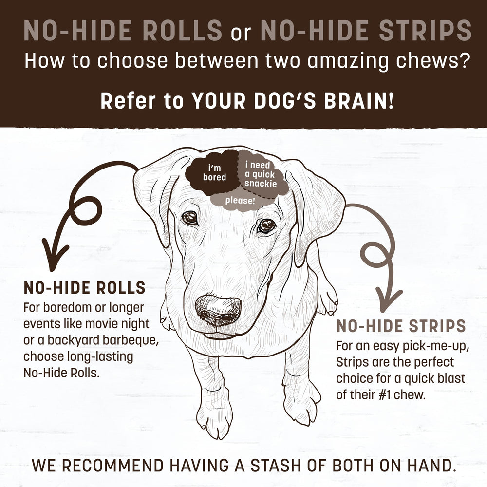Earth Animal No-Hide Roll; seguridad y uso responsable al masticar.
