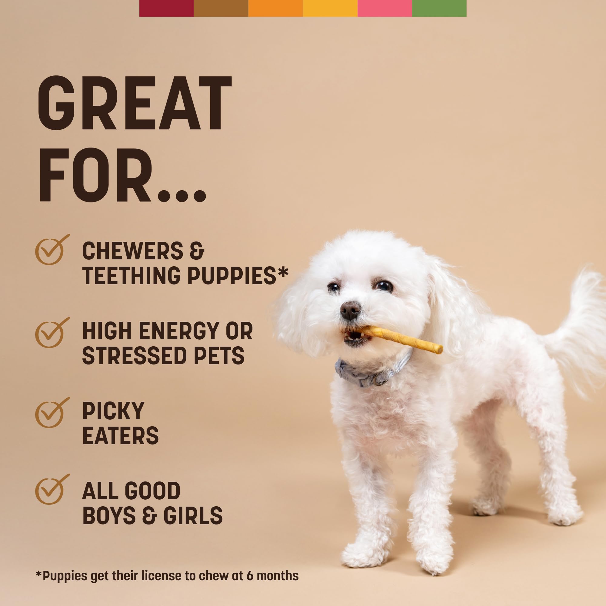 Earth Animal No Hide Stix cuidan dientes y encías