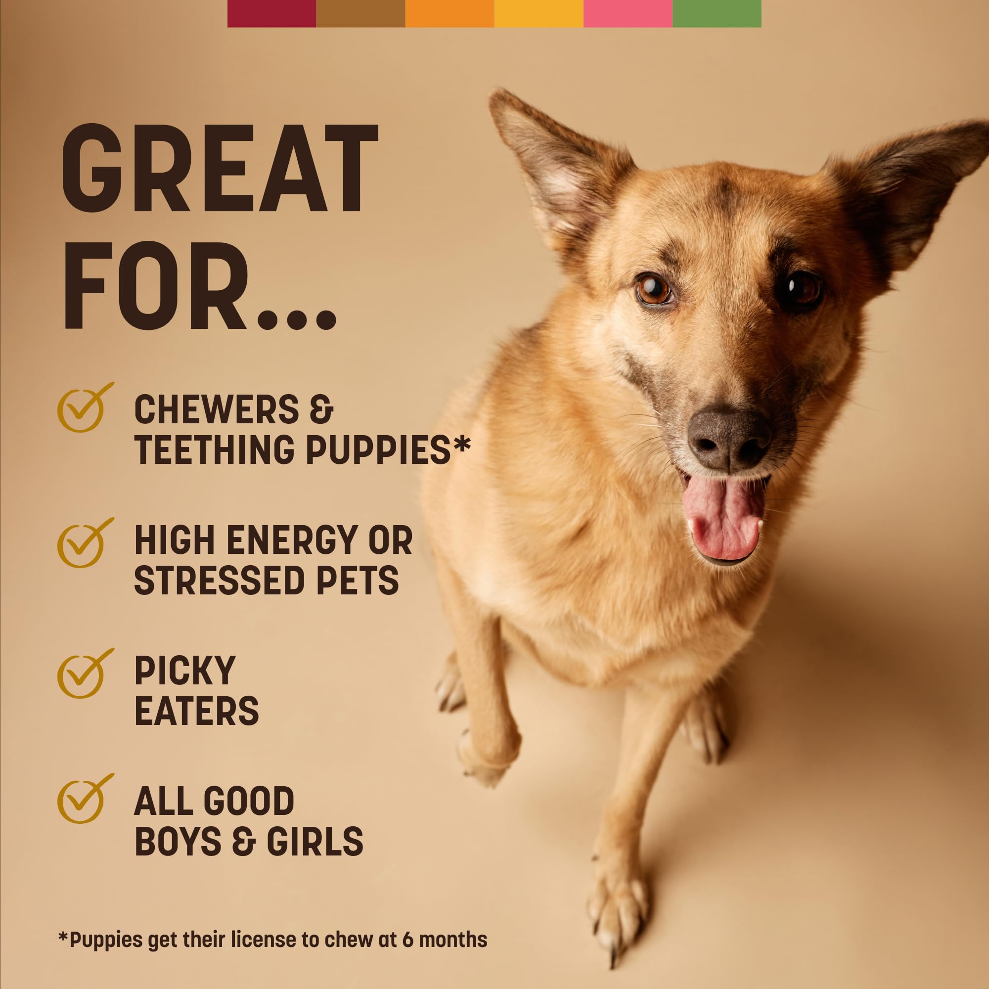 Earth Animal No Hide Strips, diseño apto para perros de todos los tamaños, visual de rango