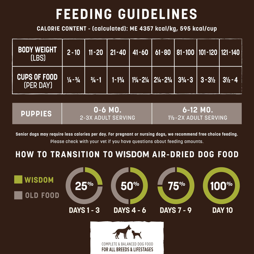 Earth Animal Wisdom, compromiso ambiental como B Corp y 1% para sostenibilidad.