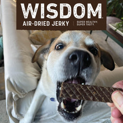 Earth Animal Wisdom textura suave y masticable para perros exigentes.