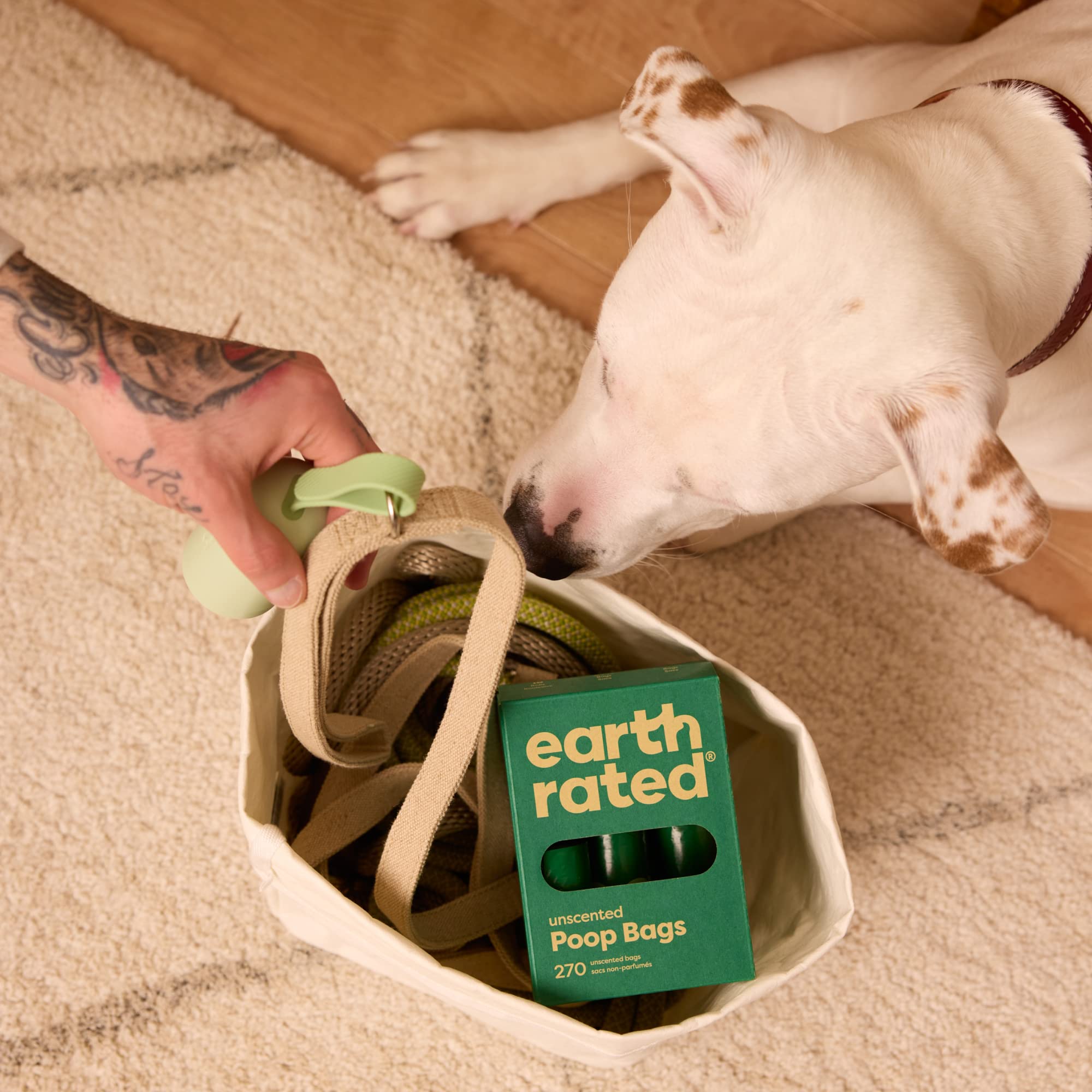 Earth Rated compromiso ambiental, reciclaje responsable al caminar