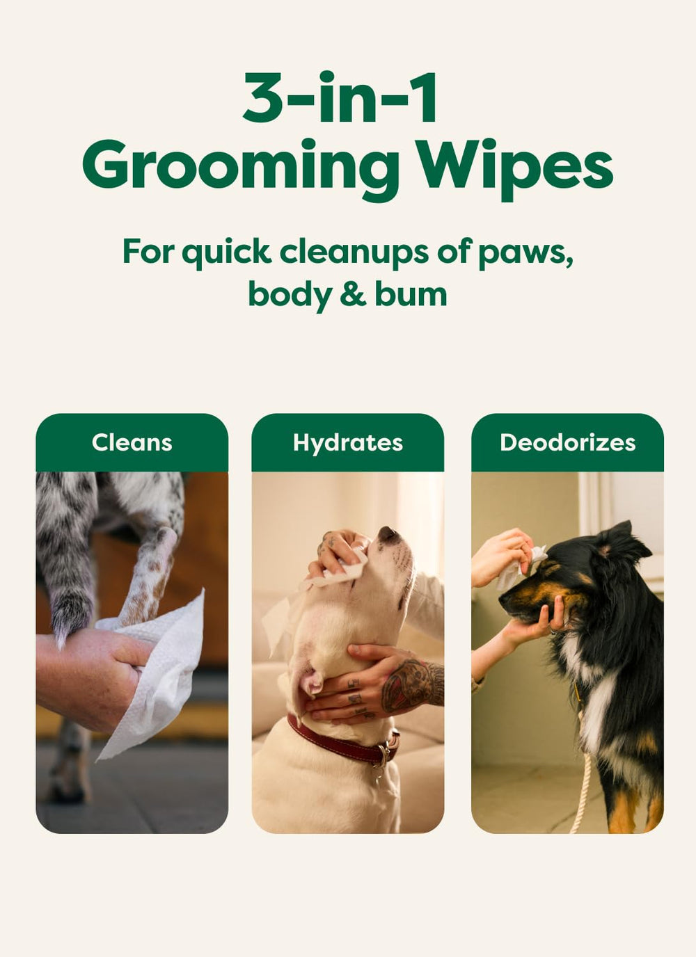 Earth Rated toallitas para perros, aroma a lavanda para un baño entre paseos.