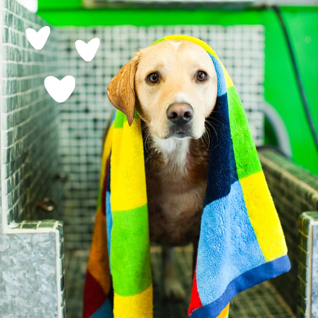 earthbath champú perro libre de crueldad desde 1995