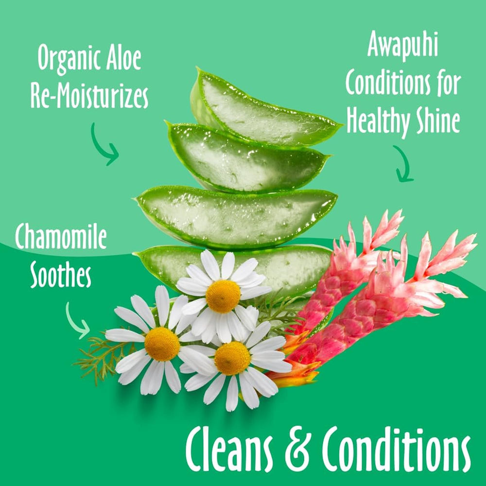 Ingredientes naturales en earthbath, sin químicos agresivos.