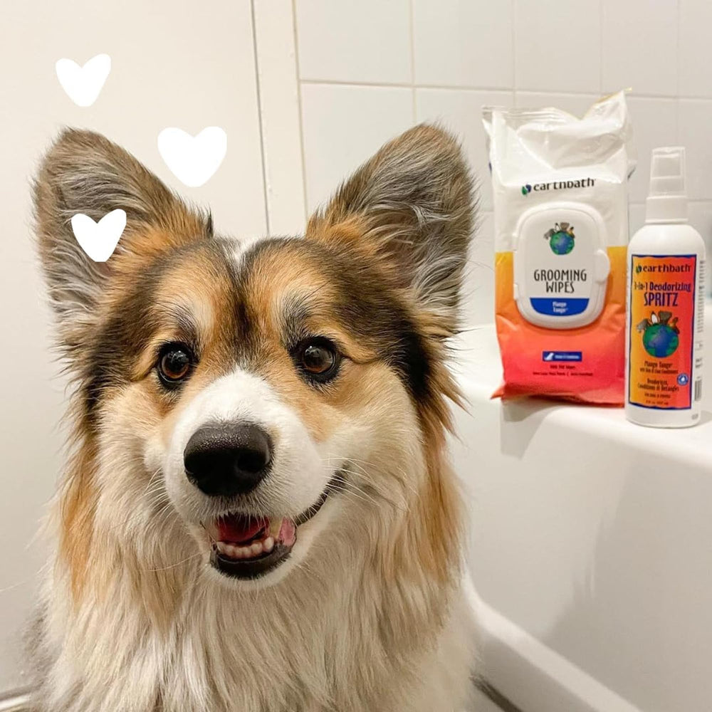 Earthbath Mango Tango: producto libre de crueldad para mascotas sensibles.