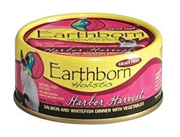 Earthborn Holistic gato envase-latas: formato práctico para la hora de comer.
