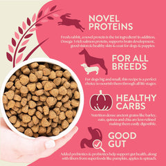 Earthborn Holistic granos antiguos quinoa y avena para digestión suave