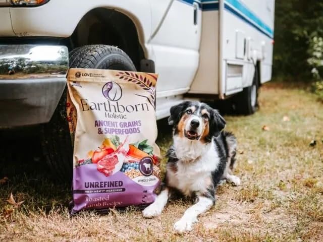 Earthborn Holistic textura crujiente: experiencia diaria para perros
