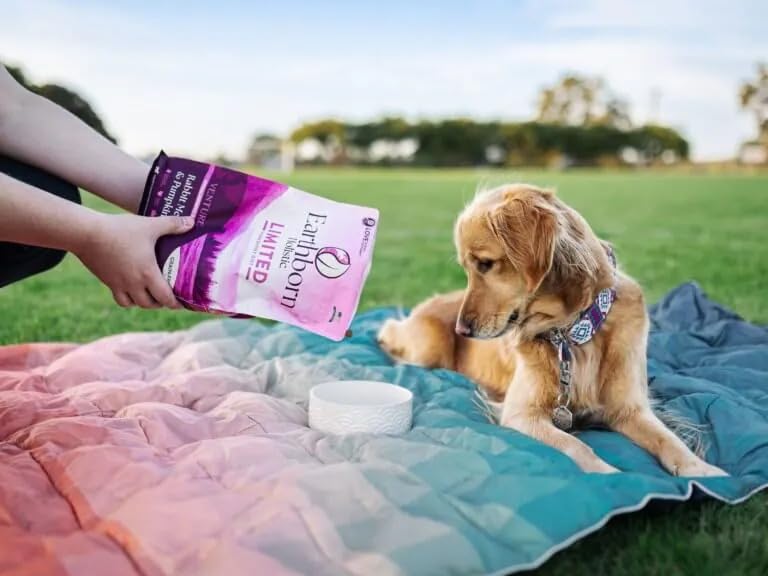 Earthborn Holistic Venture conejo sin huevo y sin guisantes, opción cuidadosa para perros sensibles.